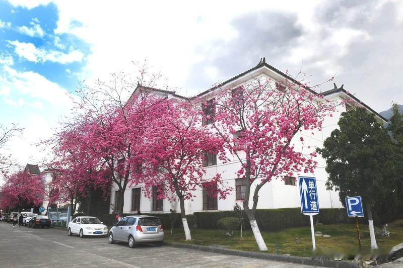 院校更名城市大学这事，好坏不能一概而论。
有些院校更名后确实受益。像北京农业大学