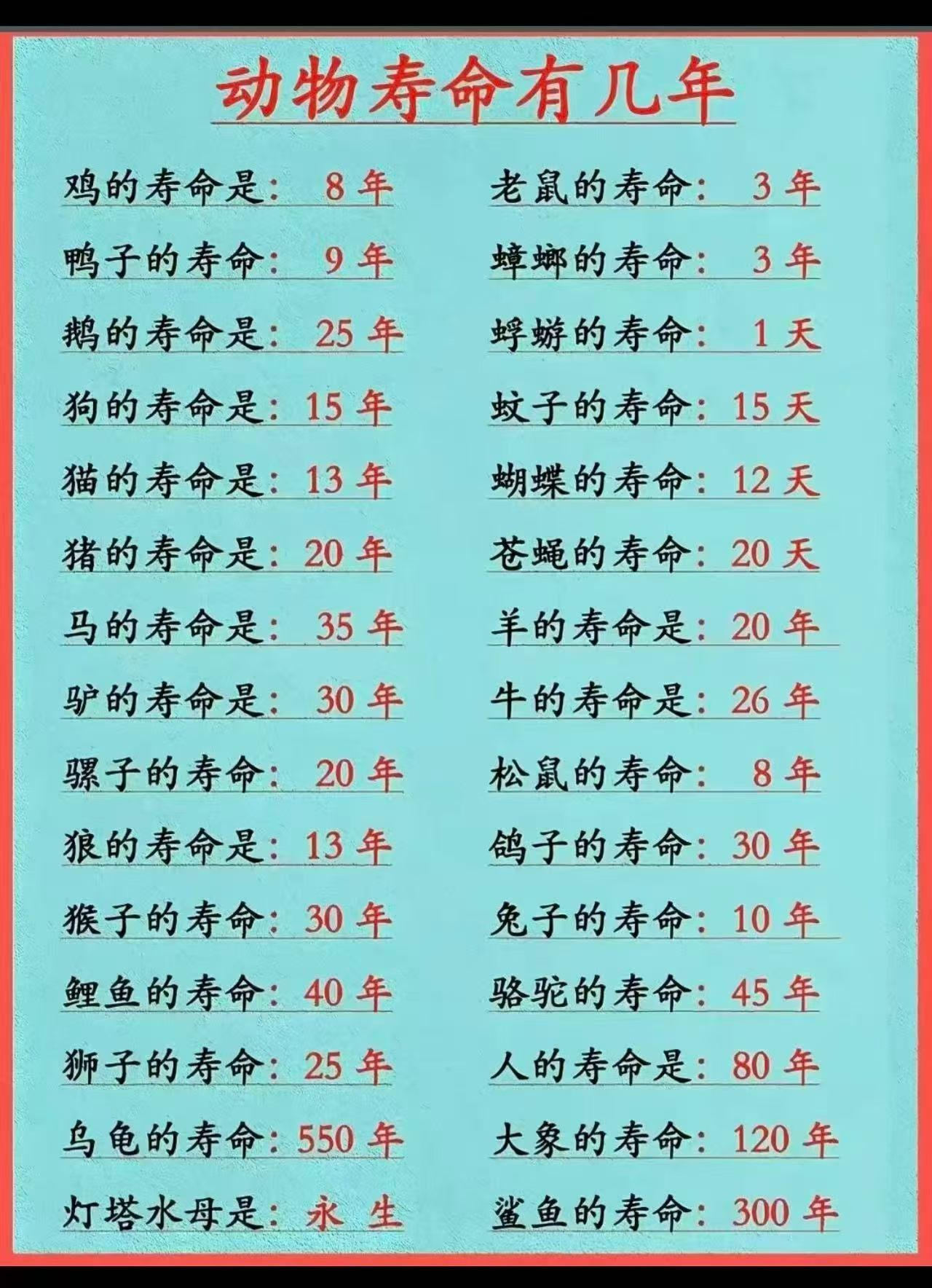 没想到鸽子的寿命还这么长。