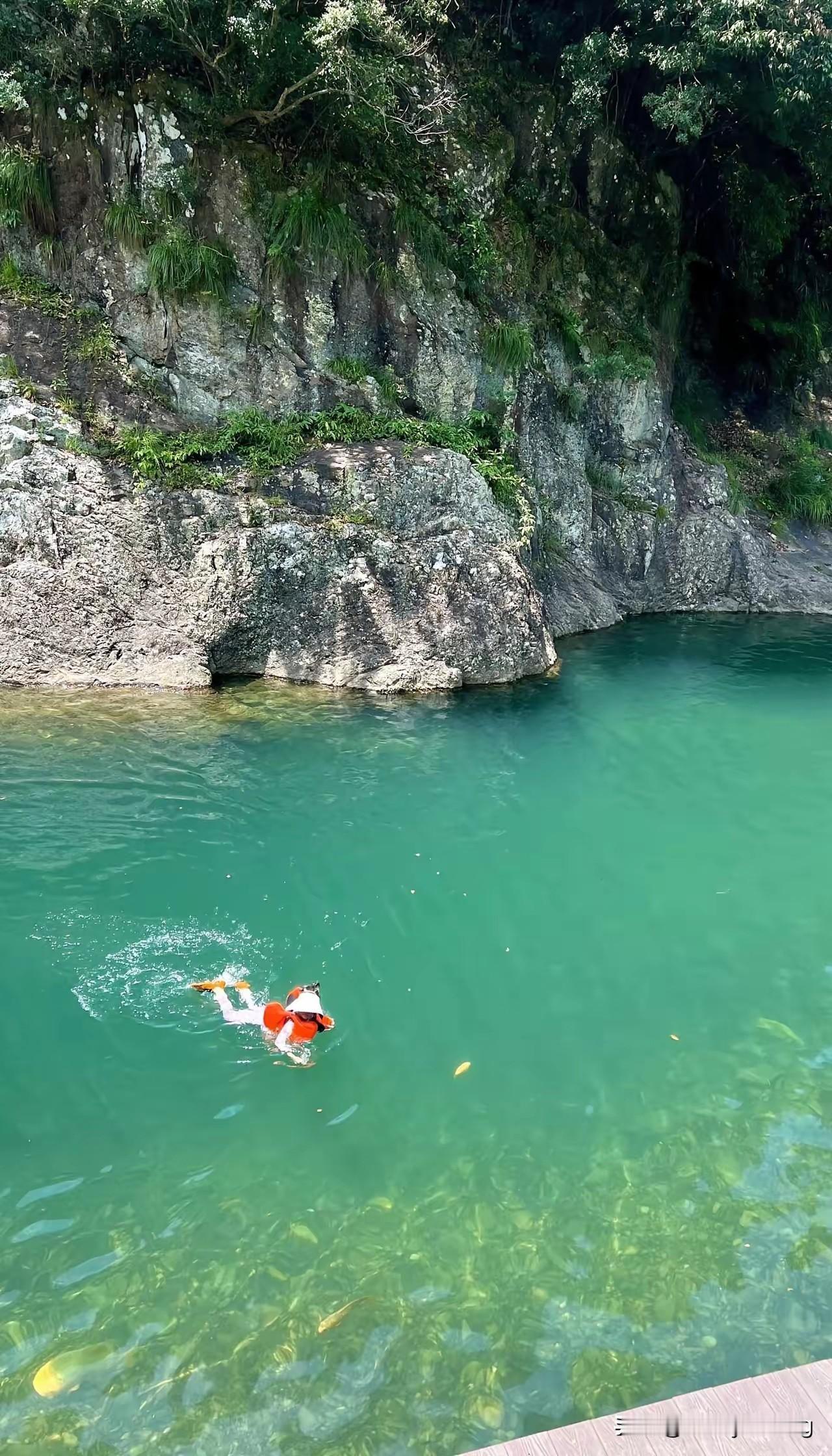 夏日生活打卡季