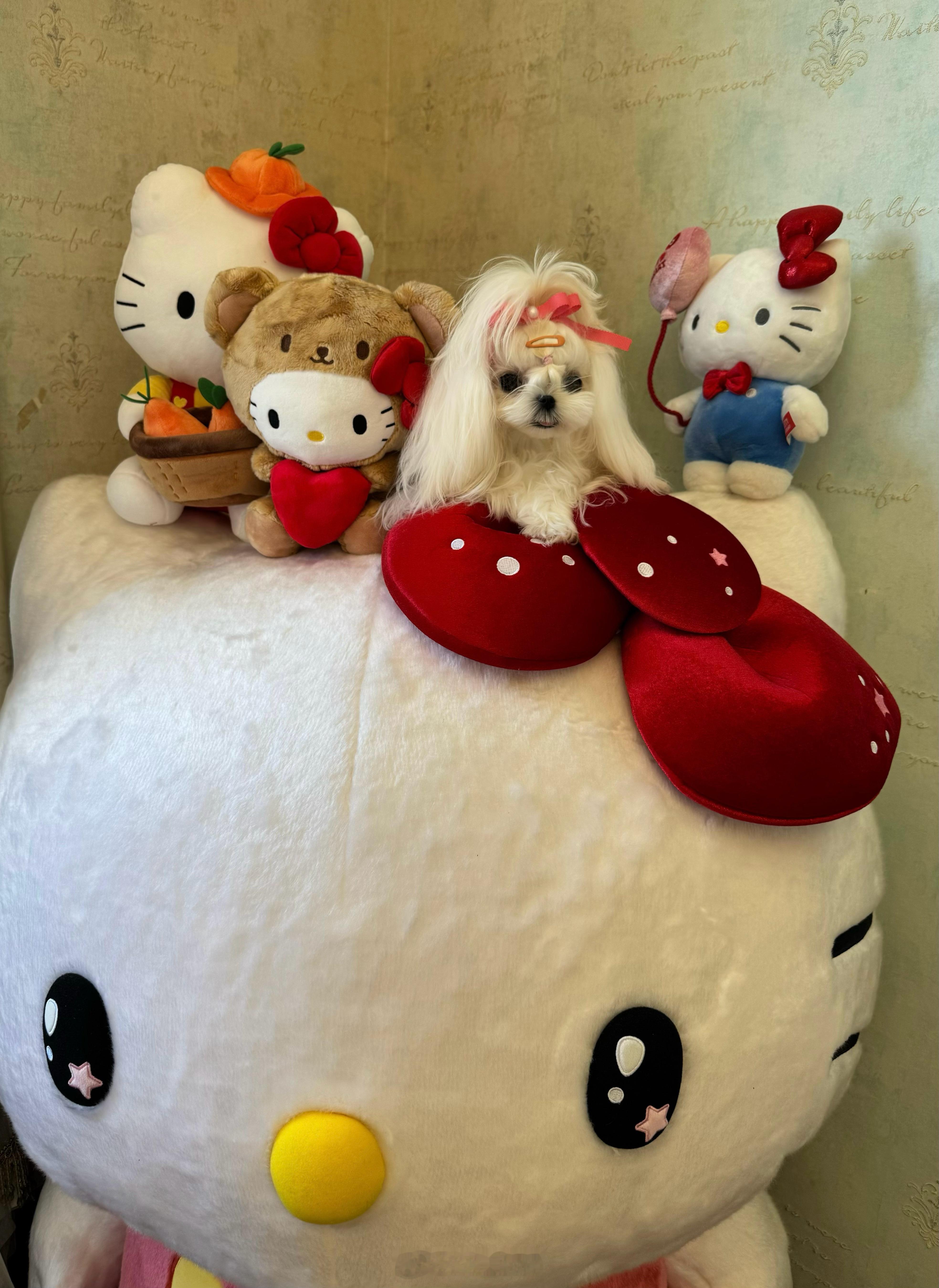 tm闲出屁了每天 ​​​