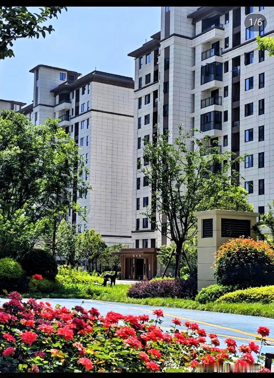 这两天总算琢磨过味儿了！
今年满大街催着办房产证，连十几年的办证老大难都被兜底解