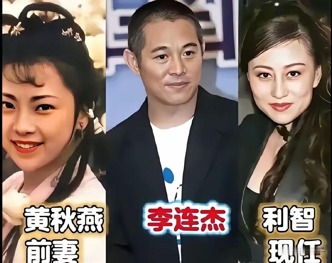 一个黄秋燕，一个利智，李连杰一生爱恨纠缠的两个女人，总觉得的黄秋燕是父母会喜欢的
