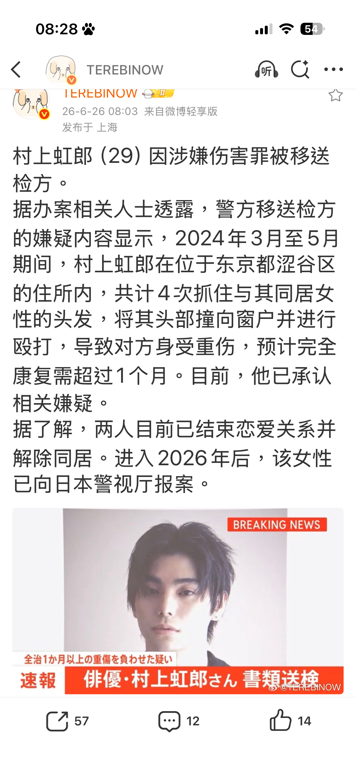 握草家暴男