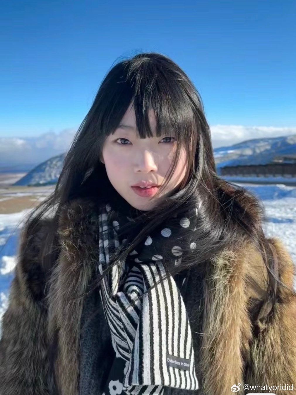 ❄️ 