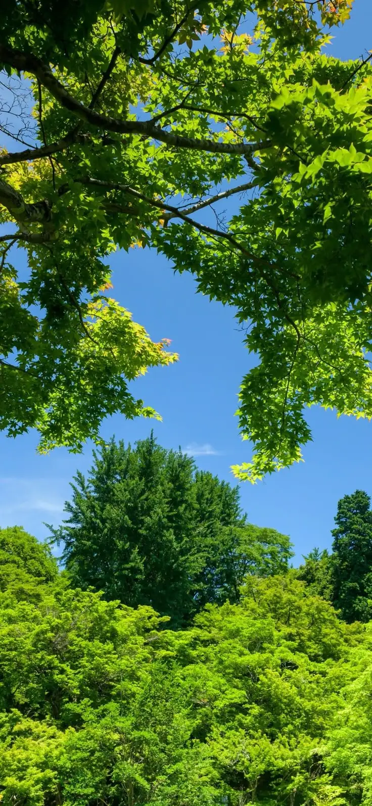 我拍到了夏天的味道