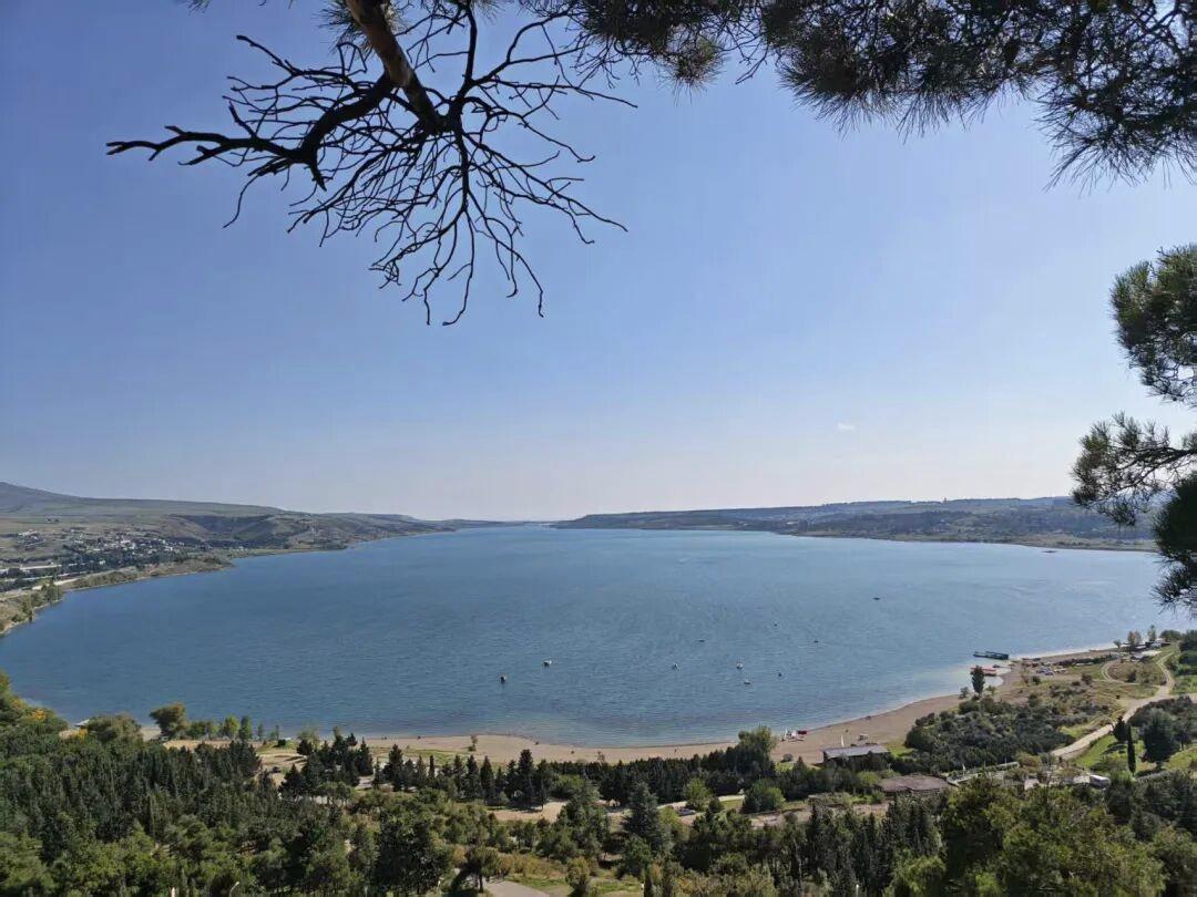 记录我的2026今天天又冷了，昨天感冒了，真的很难受哦。有一种透骨的冷的感觉，非