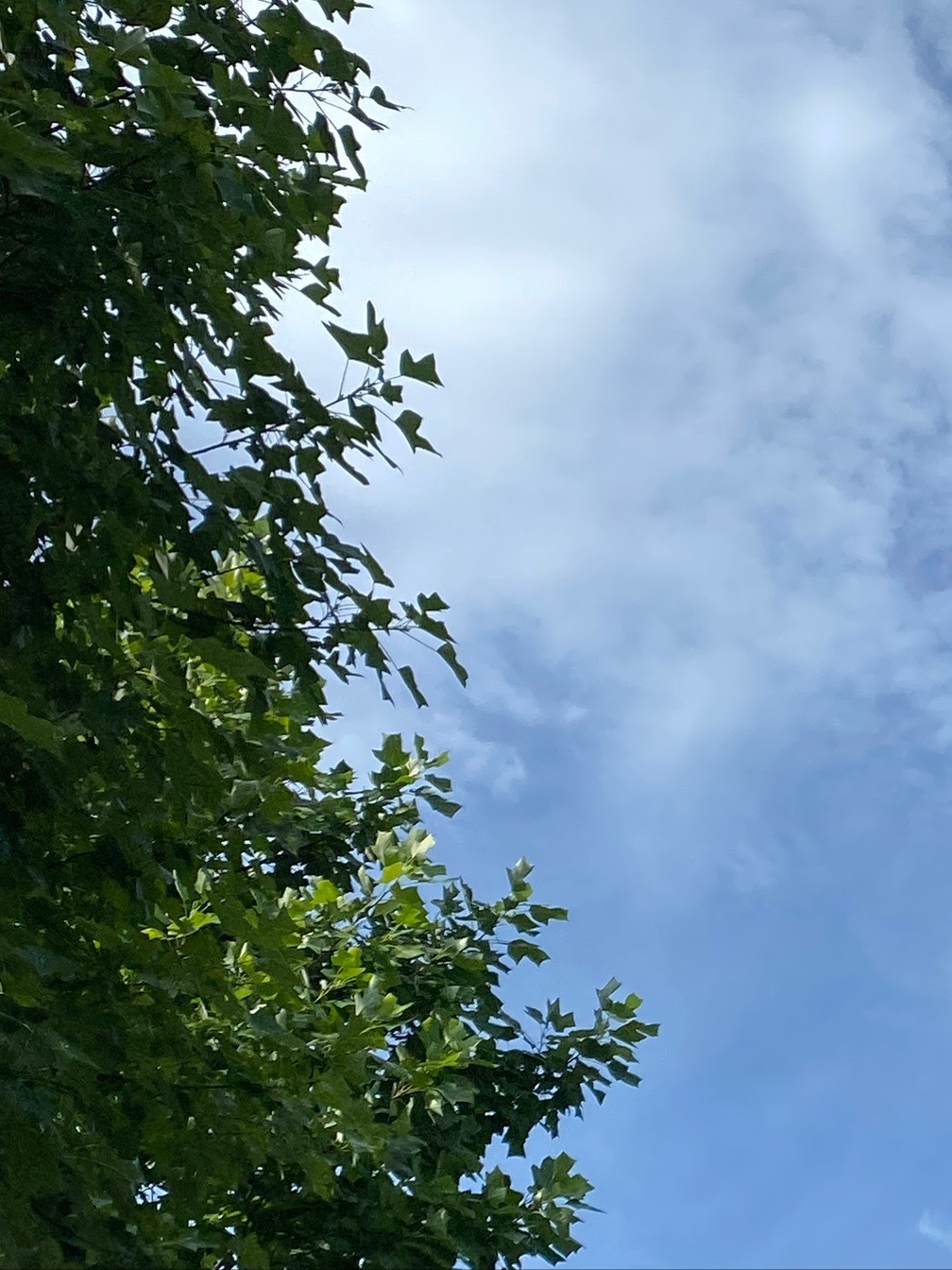 0000人最大的对手，往往不是别人，而是自己的懒惰。别指望撞大运，运气不可能永远