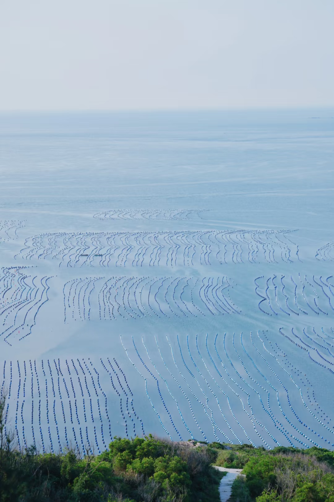 平潭｜海面上漂浮了好多渔排💧