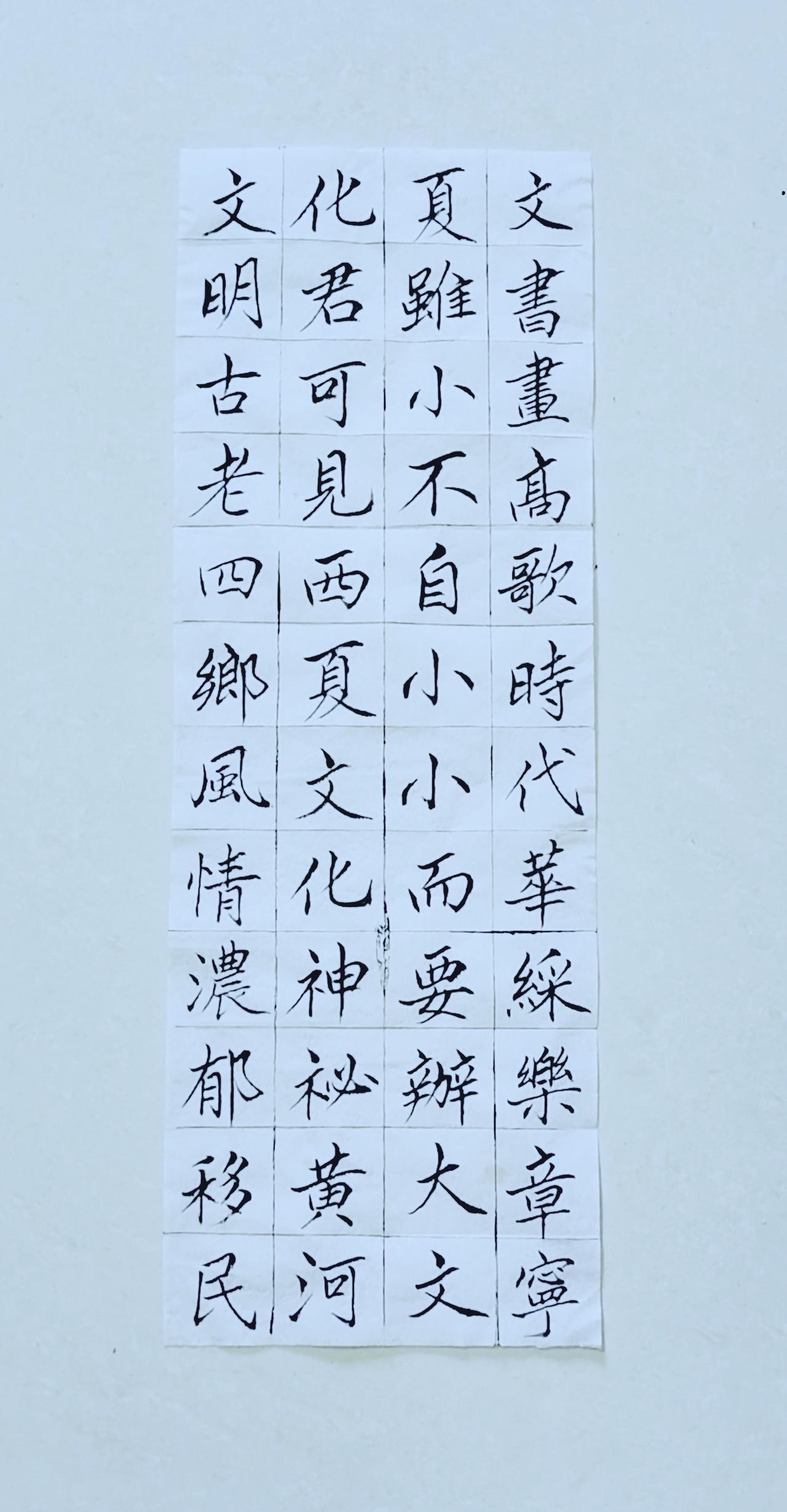 第九十天《宁夏赋》（13）正楷毛笔练习