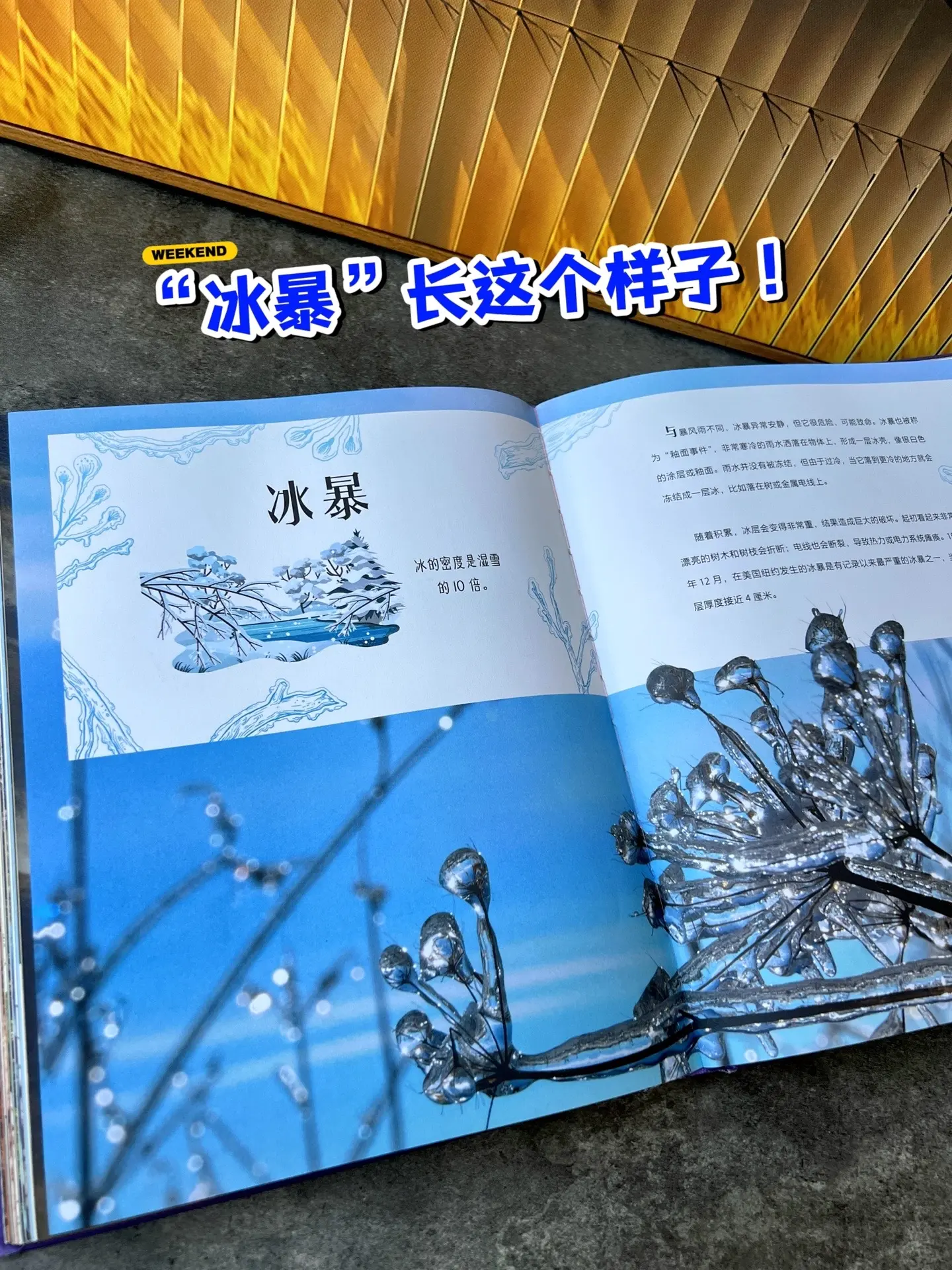 不愧是DK出品，它会满足孩子所有期待🔥。从地球表面的火山🌋，到两极...