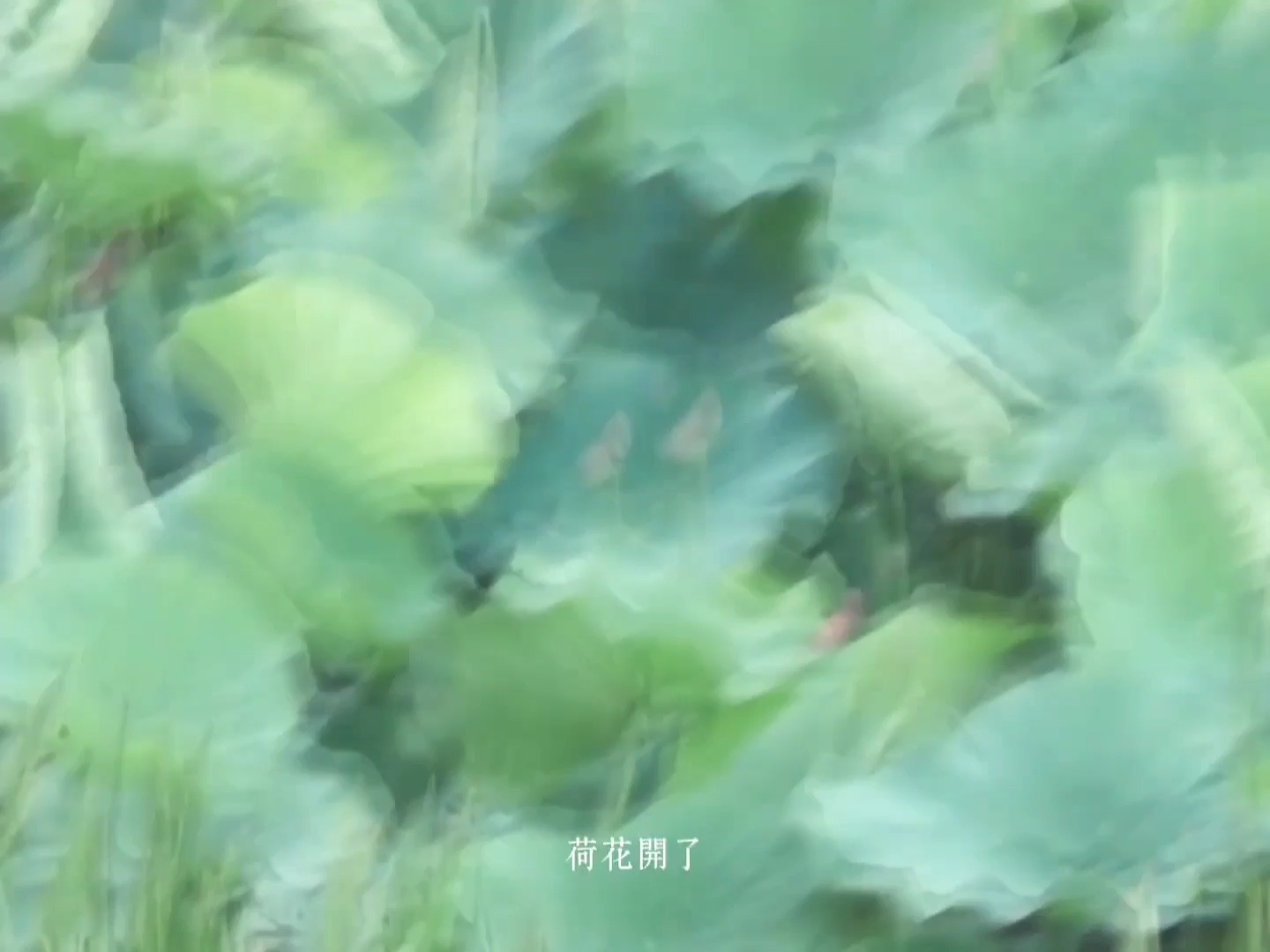 声音好好听啊怎么会有这么完美的人那那都喜欢😍😍😍 
