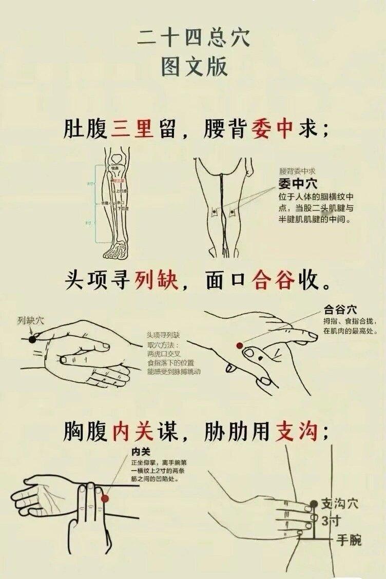 二十四总穴，一定要记住，拿走不谢！ ​ ​​​