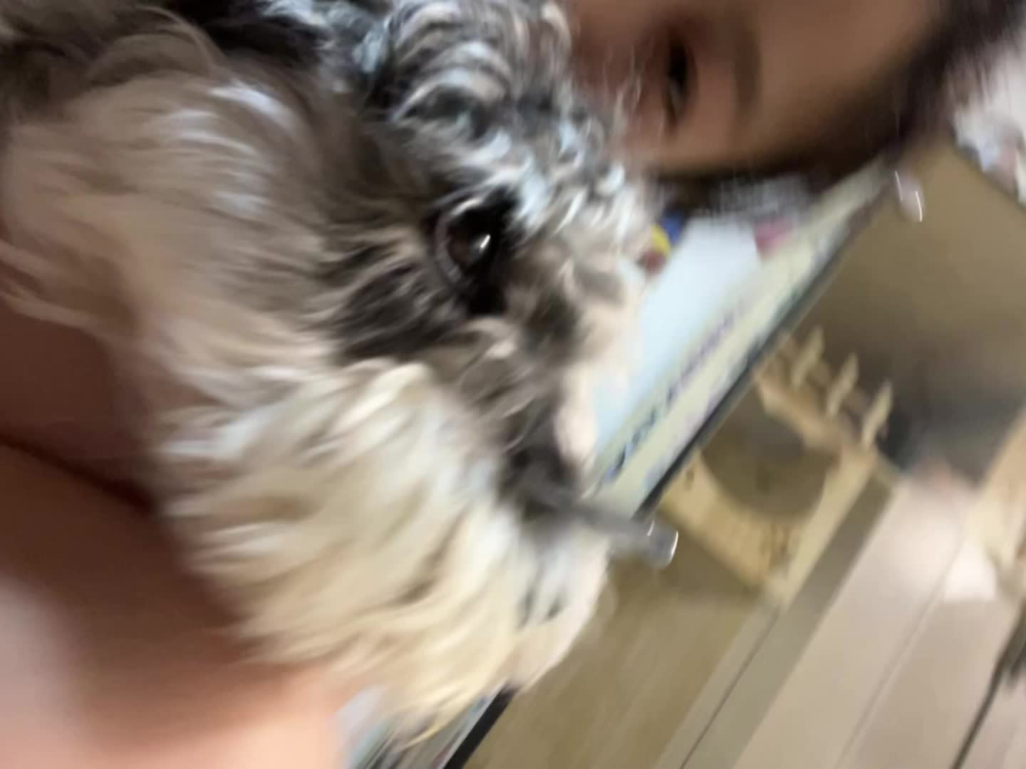 好久不见 我现在的生活正如这首歌一样潺潺流动