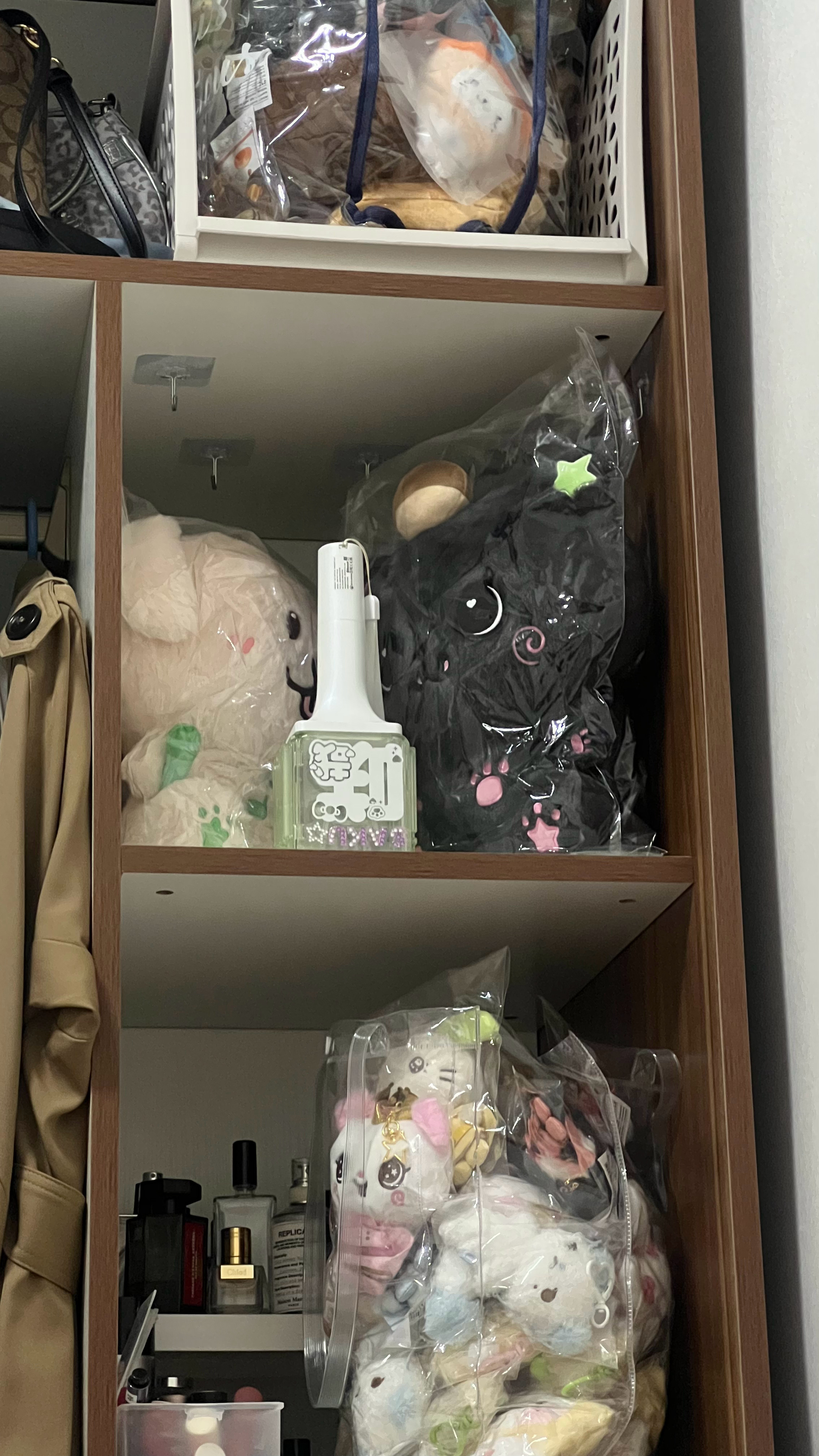 感觉这个猫一直在凶这个大胖狗啊 