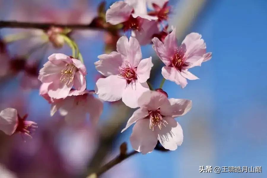 我认为爱你老己
   我认为做人首先要从爱自己做起，其次才能是爱家人，爱朋友，爱