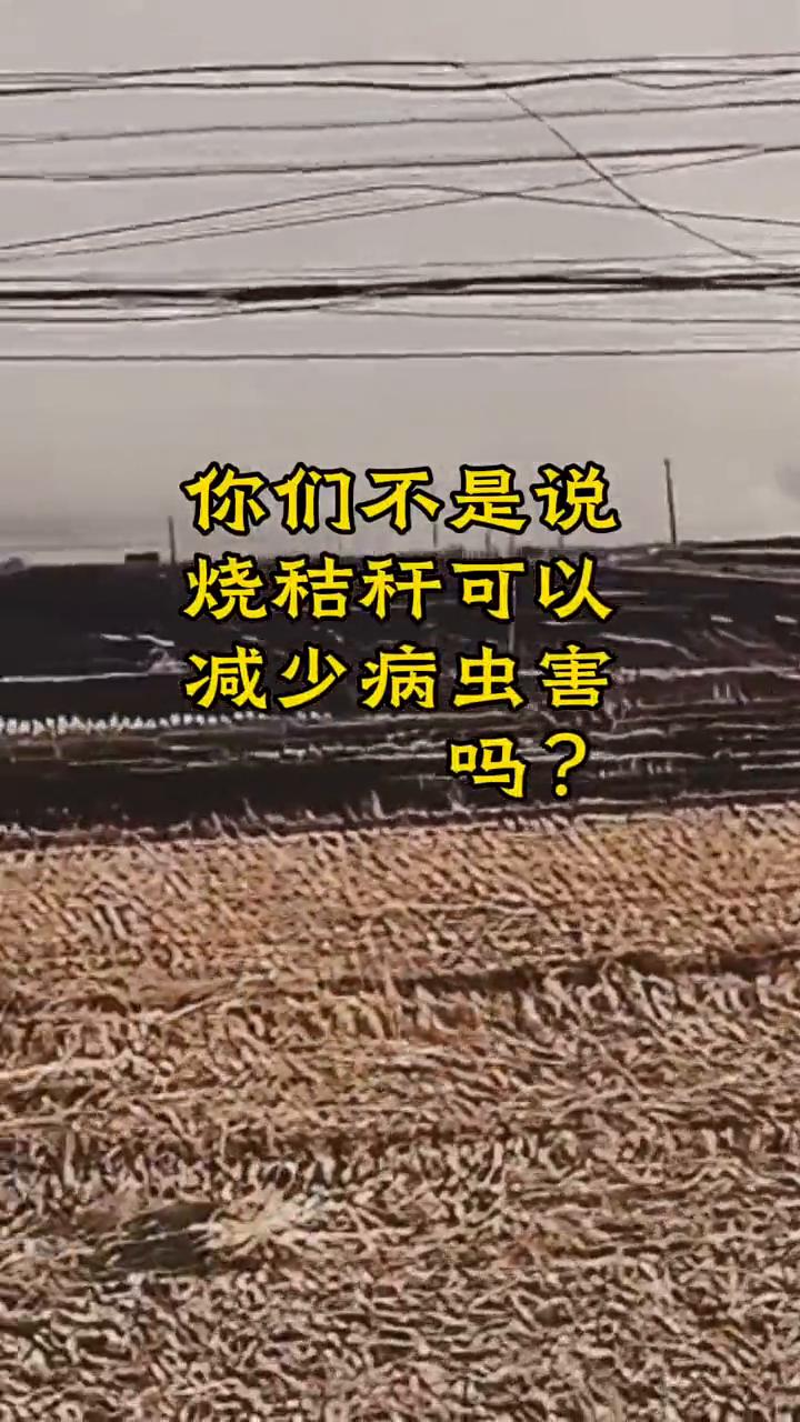 水稻收割完后焚烧秸秆盛大场面。
你们不是说烧秸秆可以减少病虫害吗？请注意，那个停