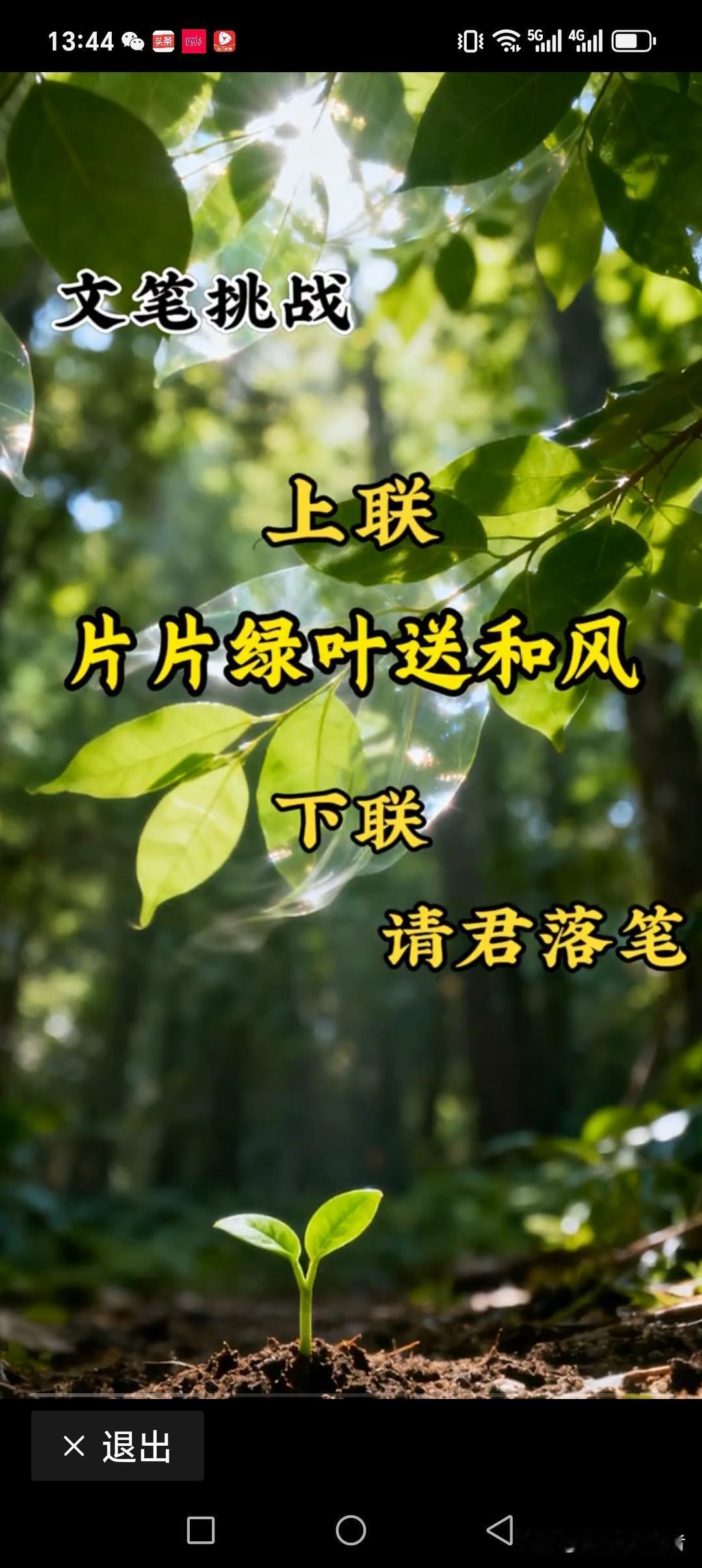 片片绿叶送和风
只只红花暖祥雨