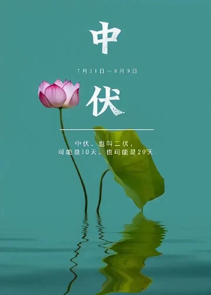 今日中伏7月30号
关于今年中伏的两个坏消息和一个好消息，你可得听好了！
 
先