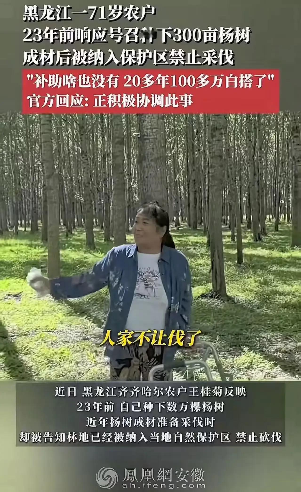 黑龙江，71岁农户23年前响应号召种下300亩杨树，成材后却被纳入保护区禁止采伐