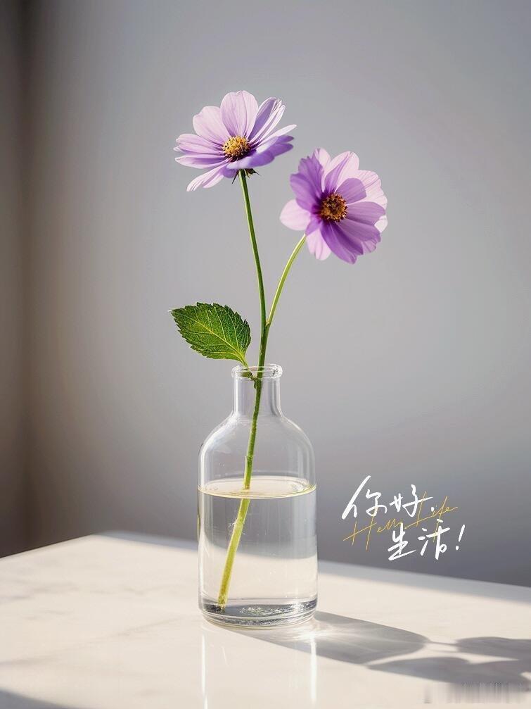 早安 日子的美好，藏在一花一叶、一朝一夕之间。不必刻意追逐远方的盛大风景，用心感