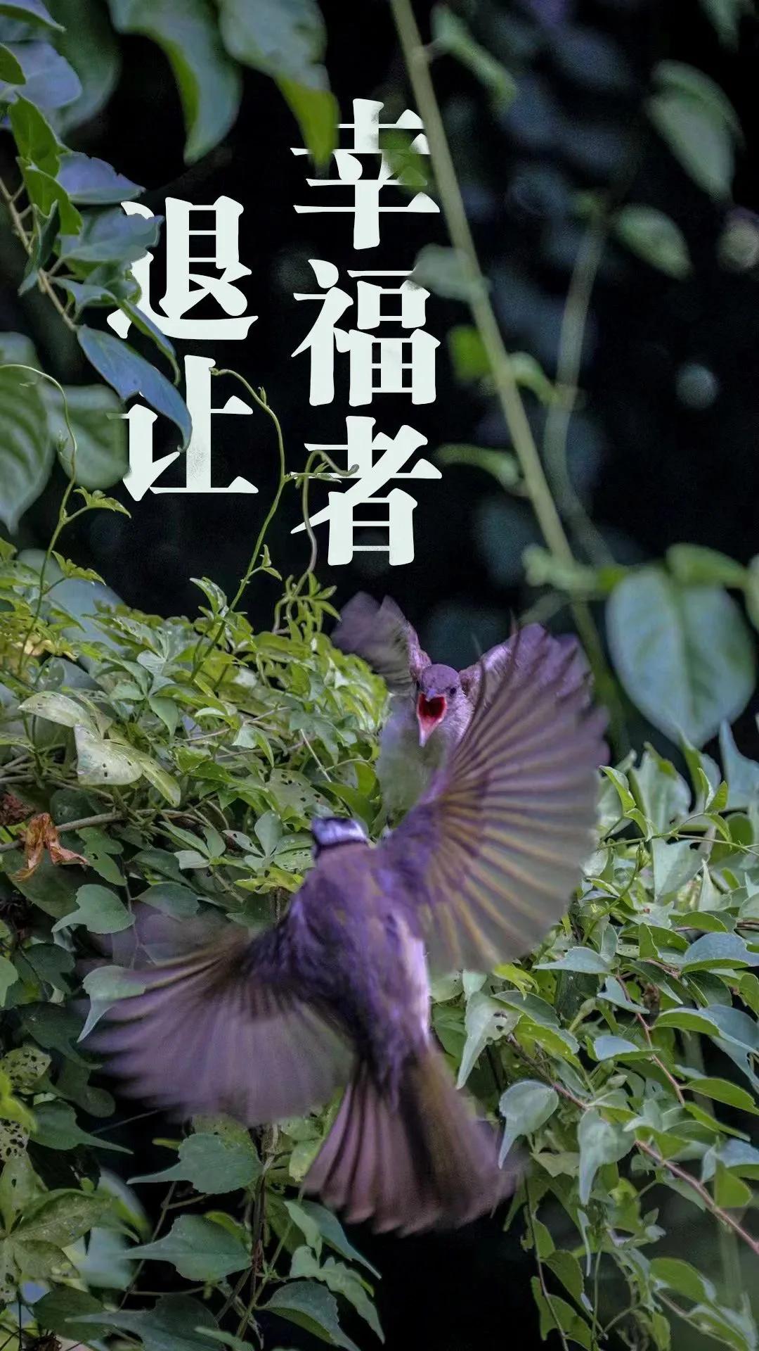 幸福者退让原则