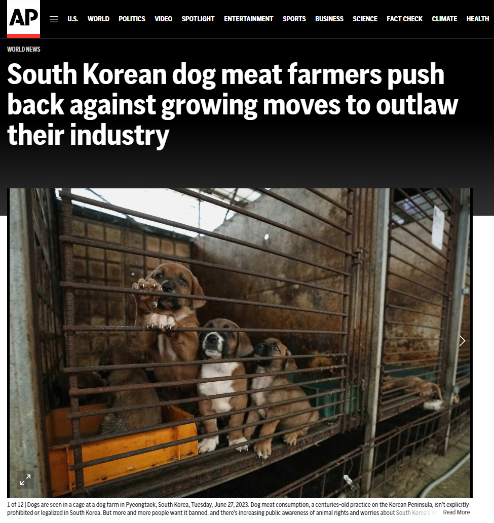 吃狗肉的市场在韩国正在变化。两任政府都试图把吃狗肉非法化，肉狗场比几年前减少一半