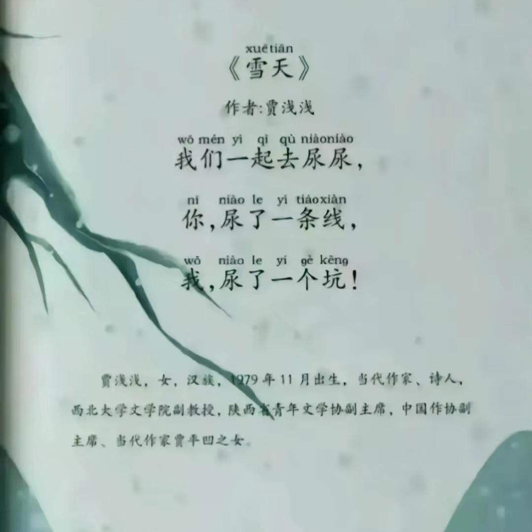 西北大学副教授被指论文抄袭[思考]
西北大学文学院教师贾某某，被网友举报 201