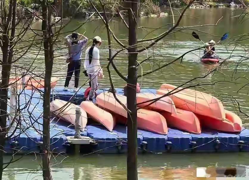 偶遇张馨予何捷带女儿逛公园广州偶遇张馨予何捷带女儿逛公园划船，一家人看起来氛围很