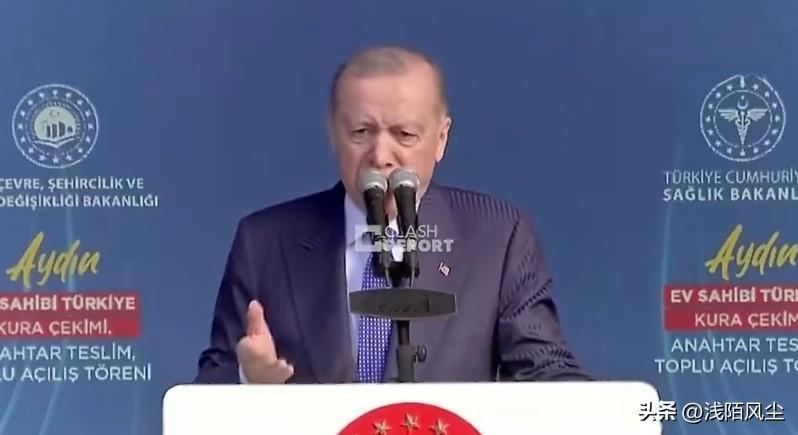 土耳其总统埃尔多安:“在达沃斯论坛上，西方世界如今也面临我们曾对全球体系的批评，