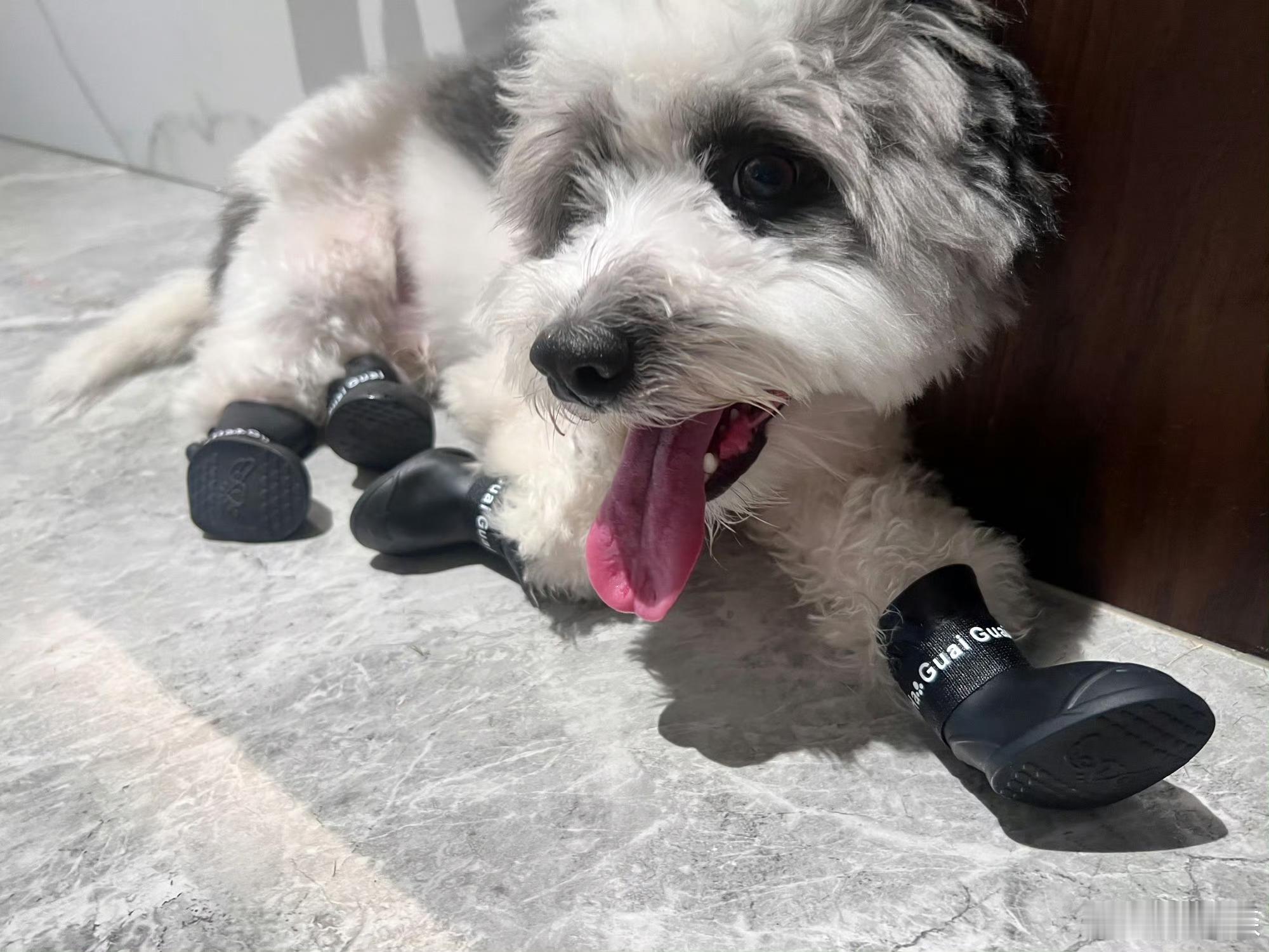 这个小鞋子很有个性！ ​​​