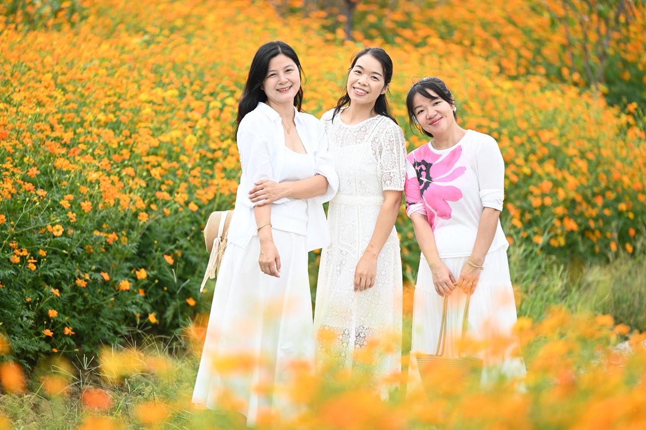 赴一场秋日花开