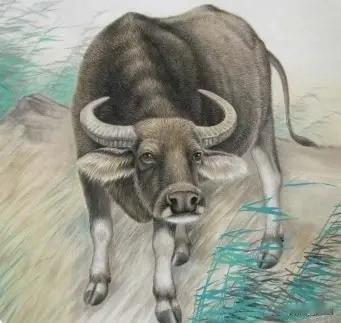 在峨山县富良棚街，老范夫妇俩做保洁员已经3O年，坚持清扫富良棚街3O年。9O年代