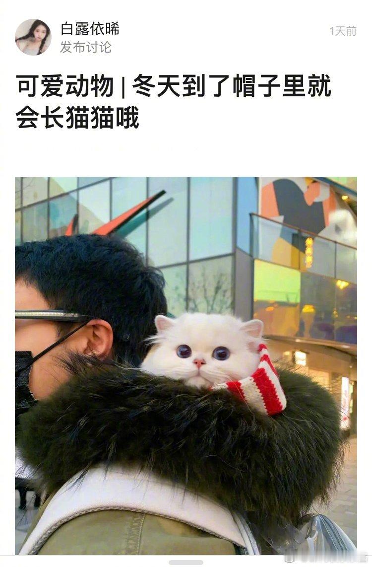 它怎么能这么美！cr:可爱白露依晞