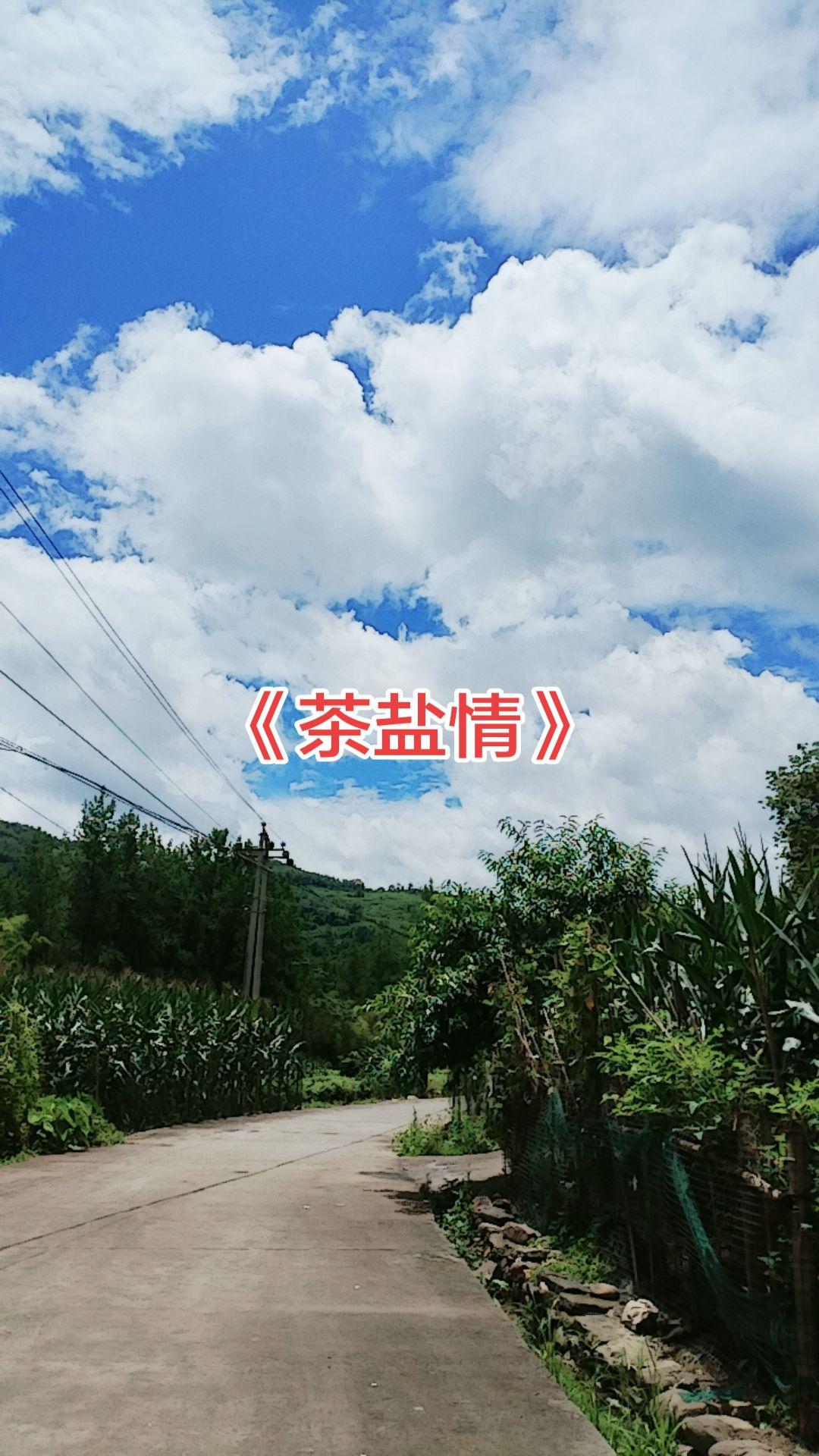 世人总说，盐无茶，水寡淡；茶无盐，味无光。
《茶盐情》唱透了这句话的深意，茶与盐