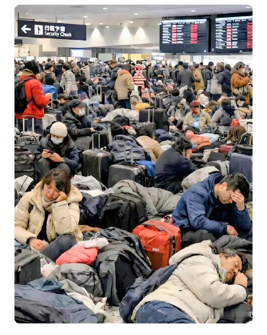 日本北海道滞留了一大批人，真让人无奈。咱国家早就扯着嗓子发警告了，可有些人就是不