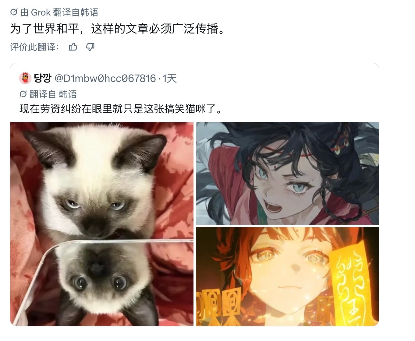 我猫儿 