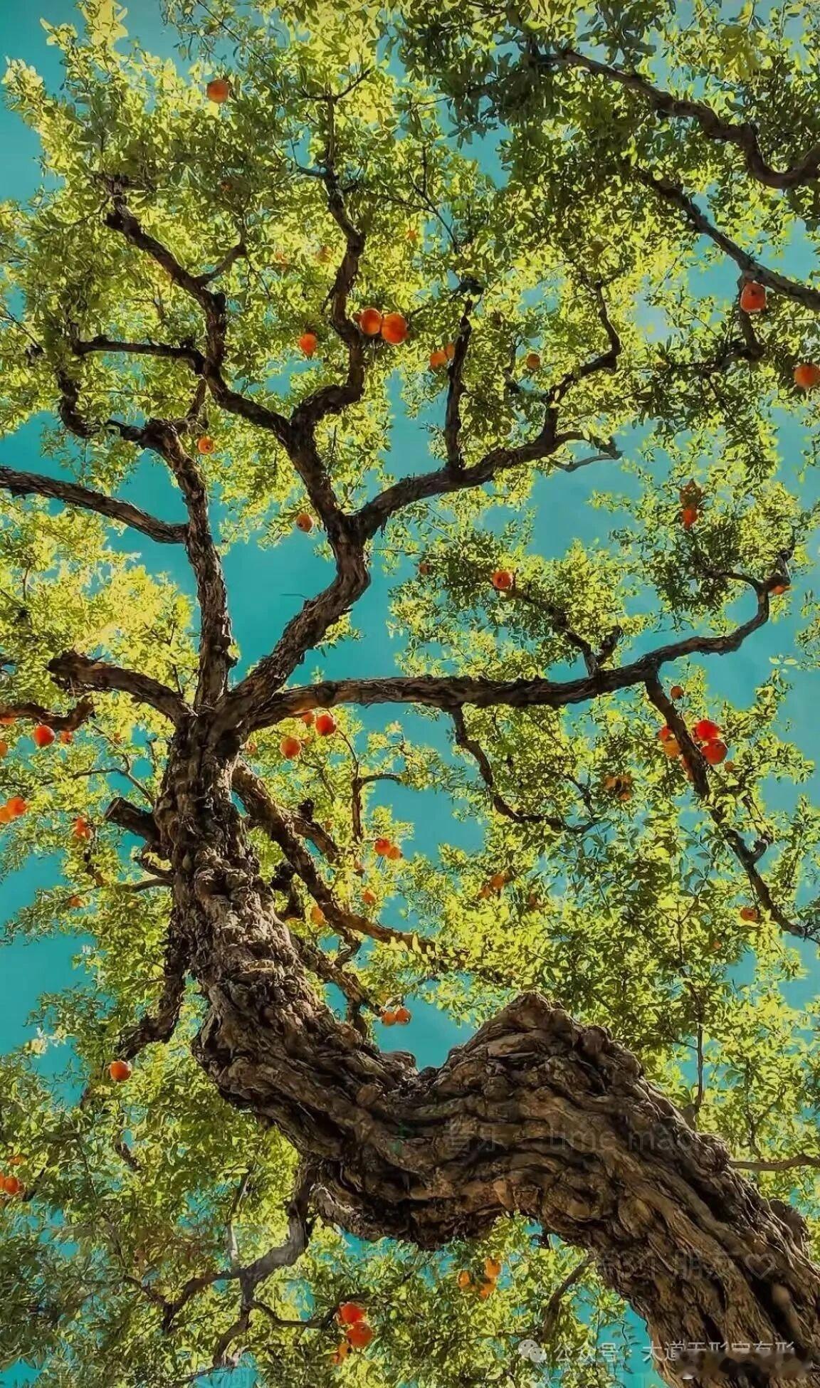 20251027教育，没有大家想的那么复杂，为什么我们说教育中要少说道理，因为很