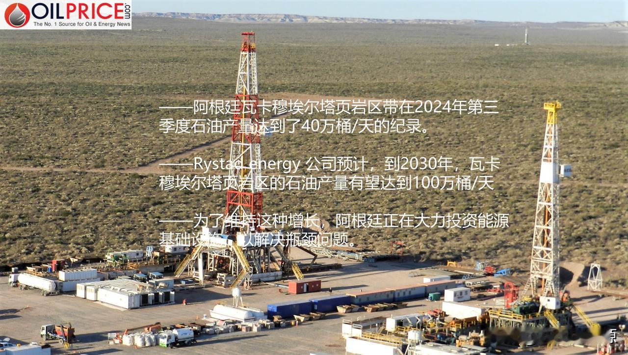 Rystad energy 公司预计，到2030年，阿根廷瓦卡穆埃尔塔页岩区的石