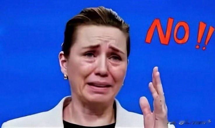 丹麦和格陵兰岛代表前往美国，与万斯各卢比奥会晤，不出预料地谈崩了！
丹麦外长和格