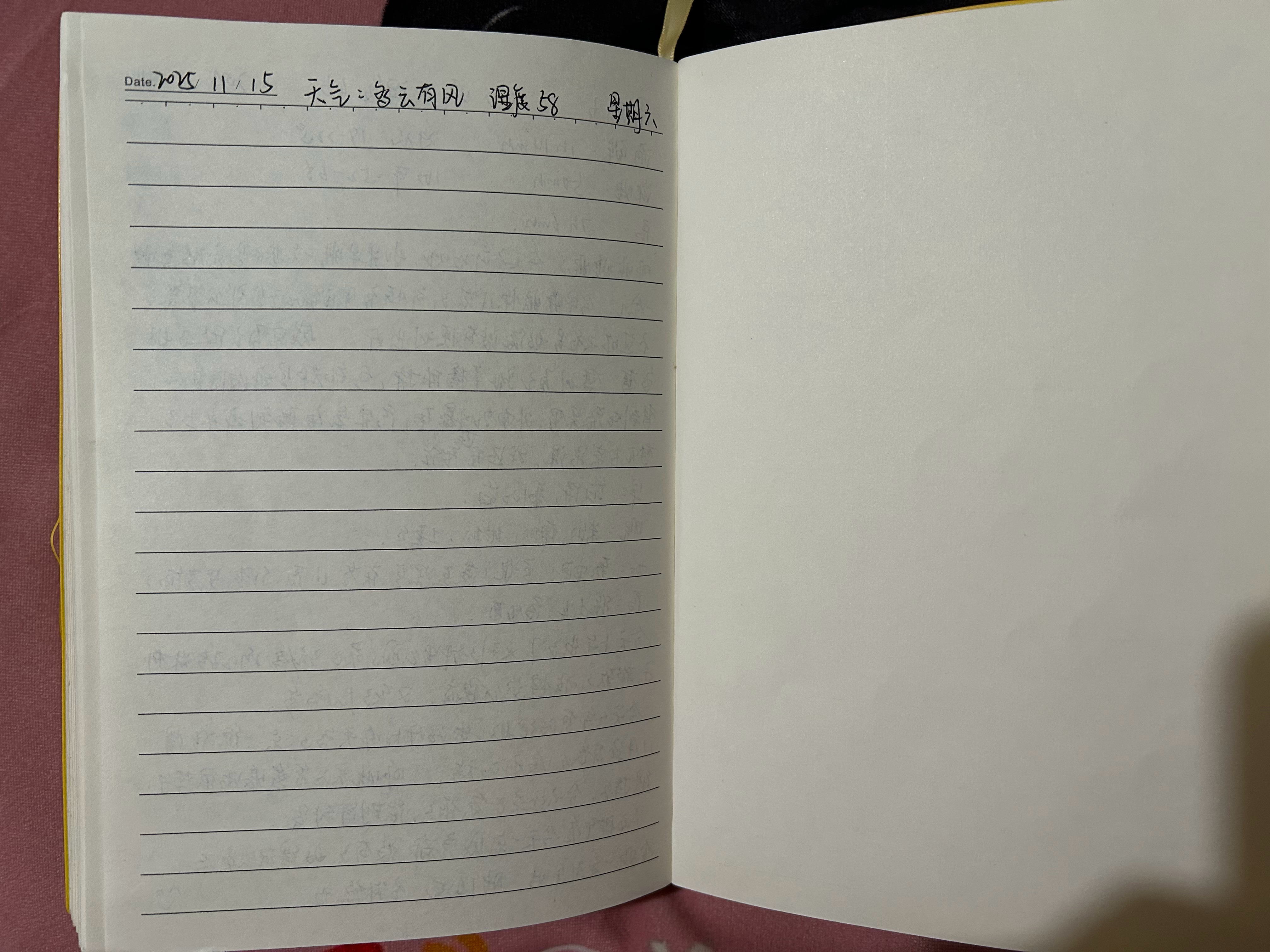 不知不觉，日记已经写到了最后一页。明天就要开始崭新的篇章啦(＾-＾)✎ 