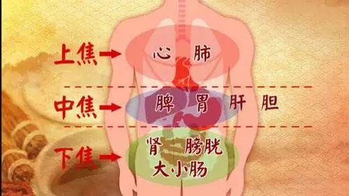 三焦不通百病生，一个简单的小方法，不用一分钱，打通三焦全身舒服
 
人体分为上焦