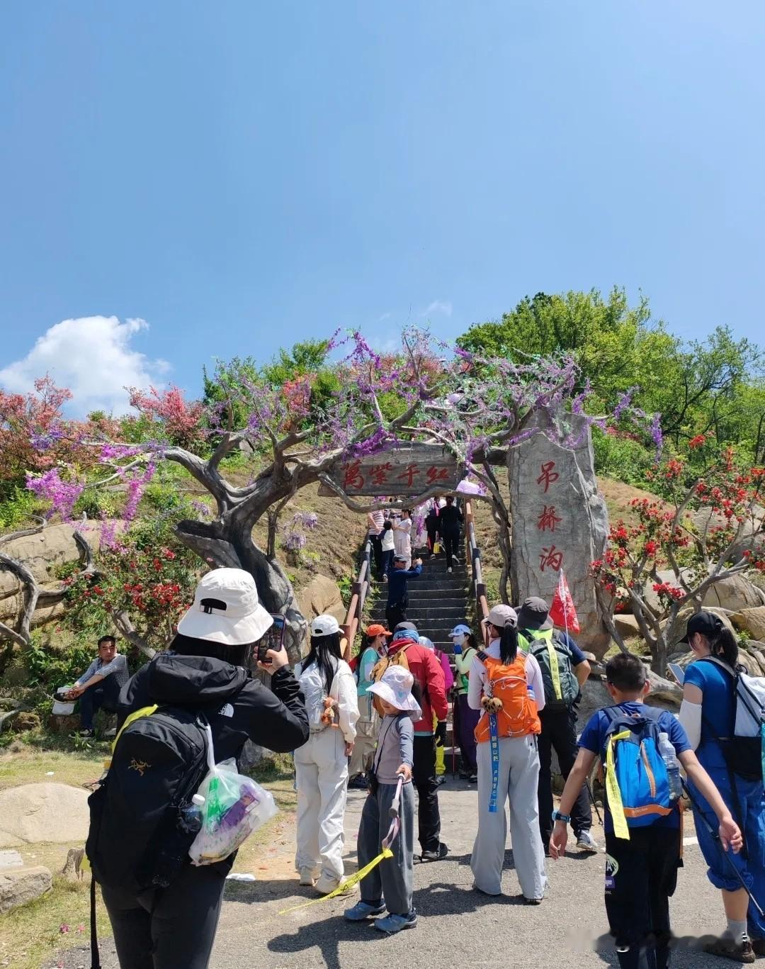 人间四月，正是湖北麻城杜鹃盛放的最佳时节。提起麻城杜鹃，很多人都向往龟峰山的漫山