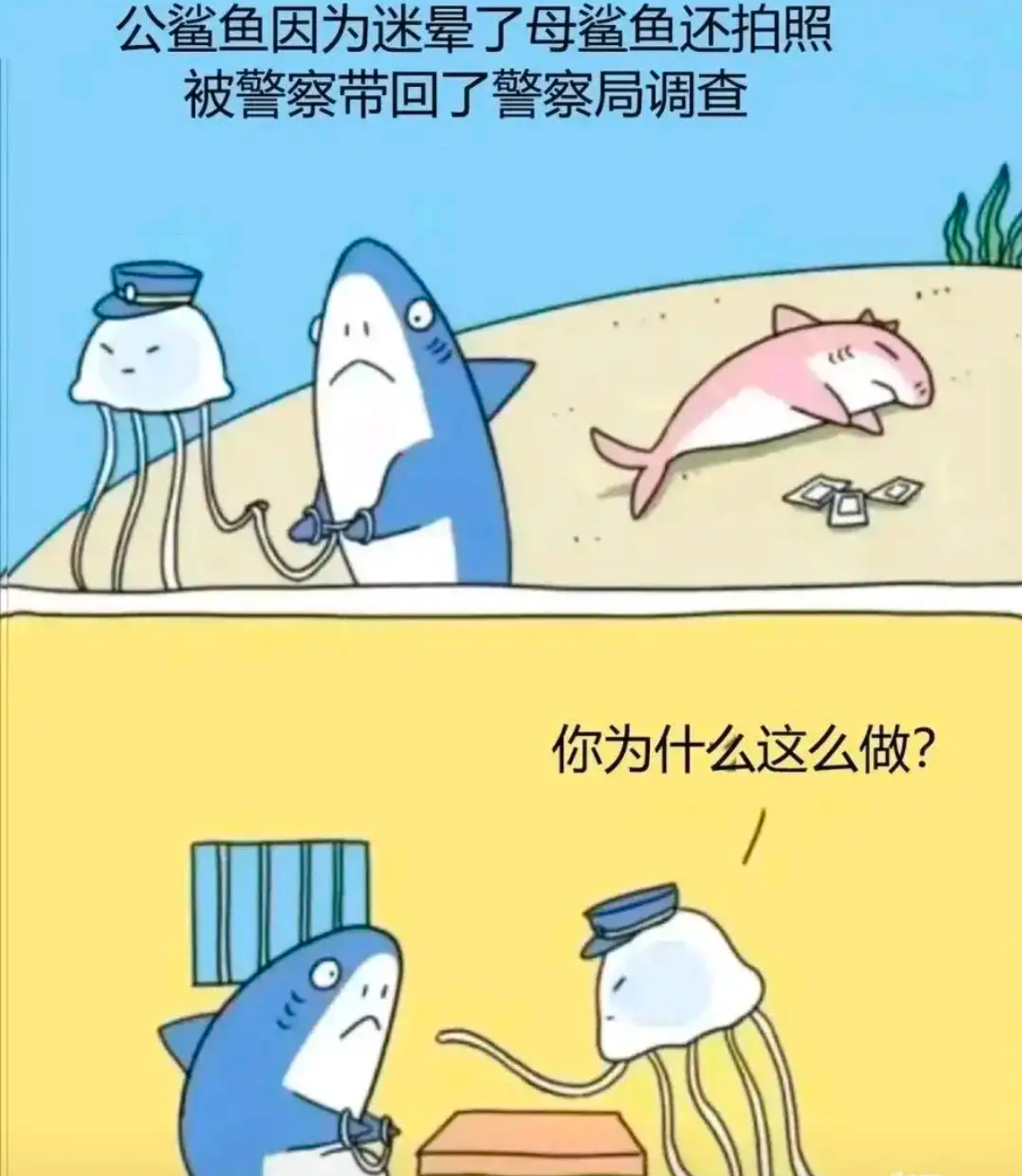 为什么要这么做？ 