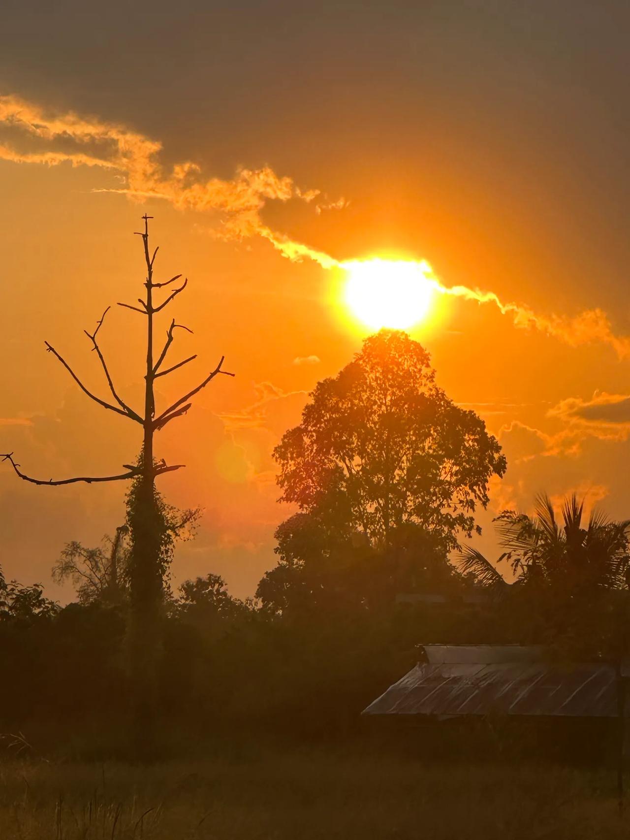 分享一张你们随手拍下的夕阳