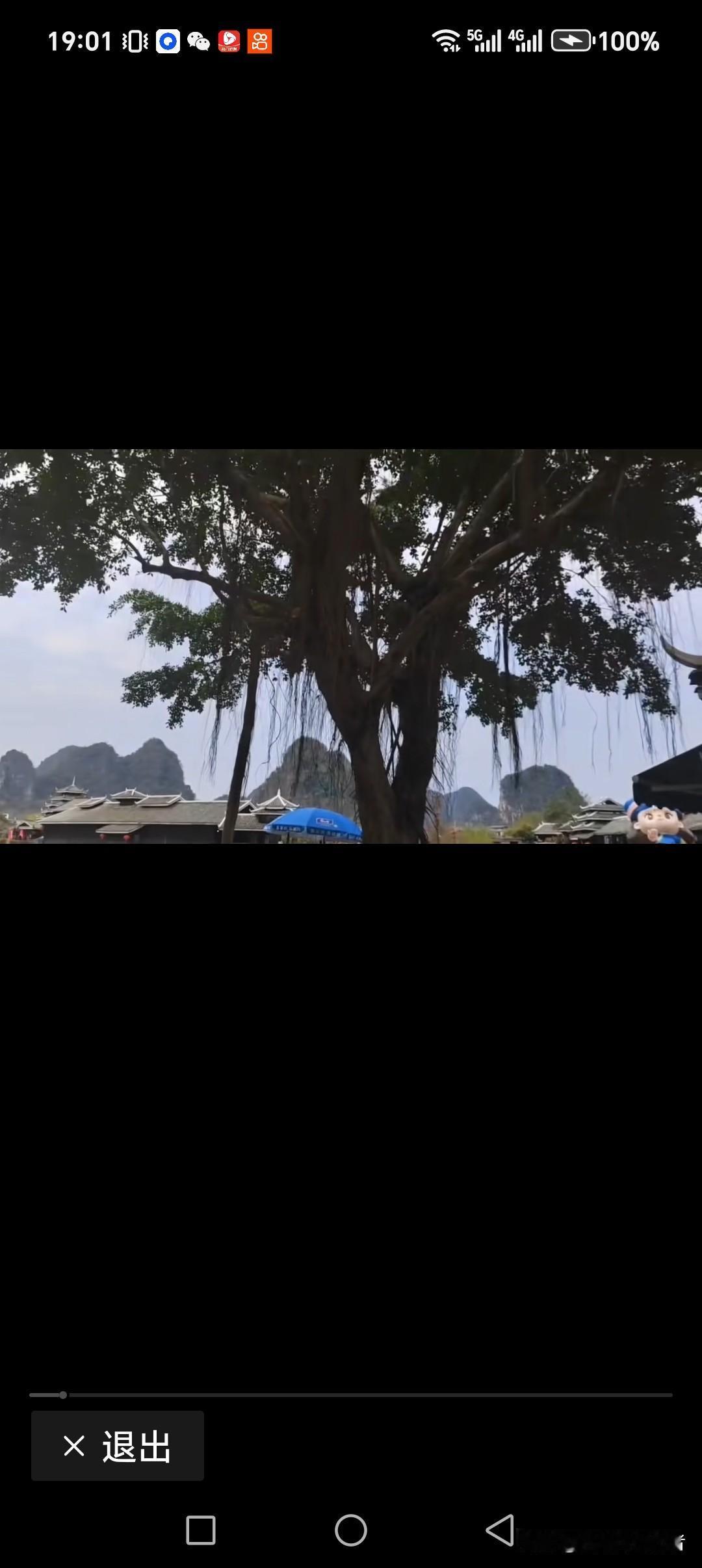 日梦成灰心已寒
花开花落意欲在