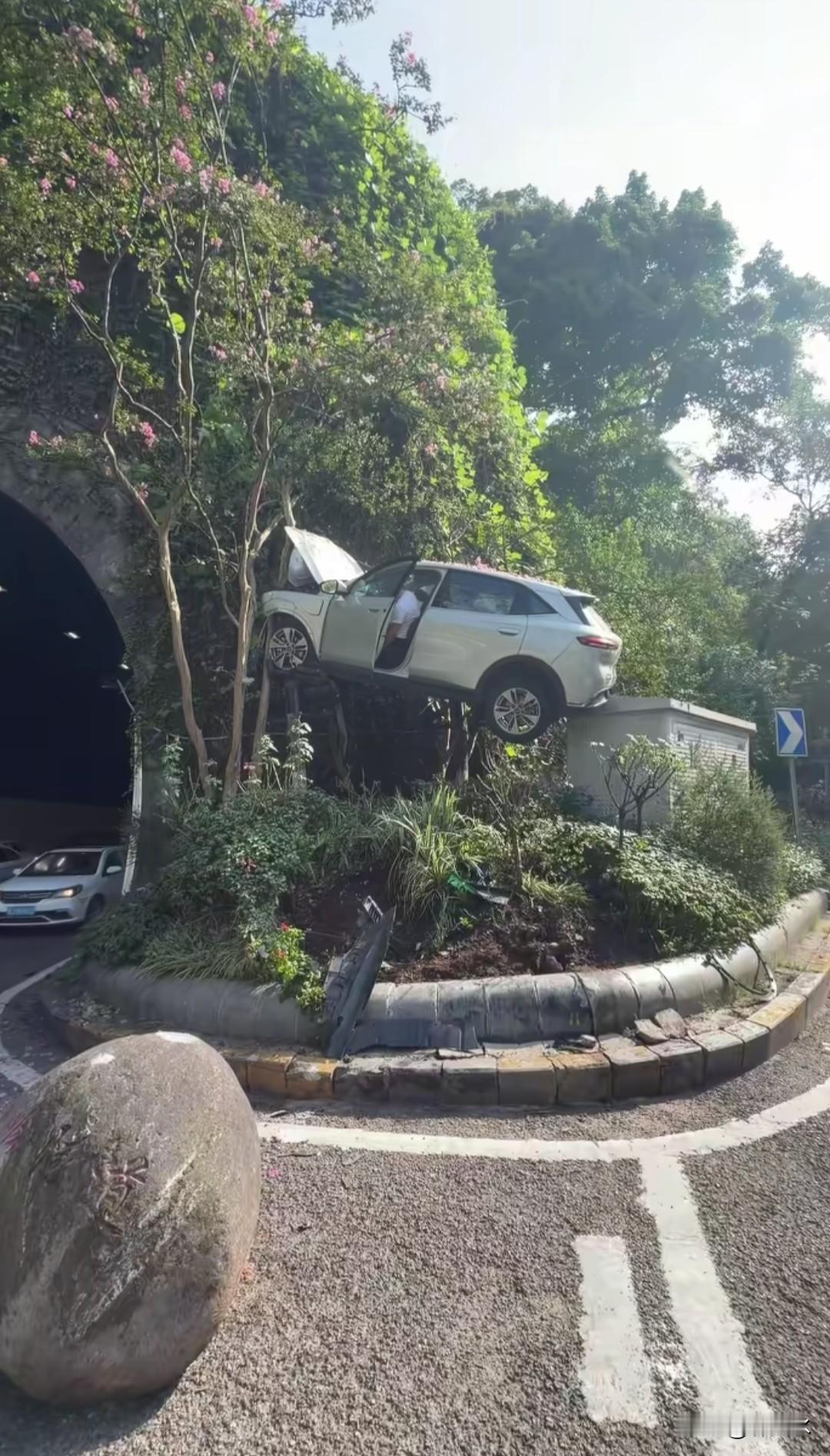 重庆这位司机，你火了知道吗[捂脸]
你是重庆开车上树的司机第一人，被全国网友围观