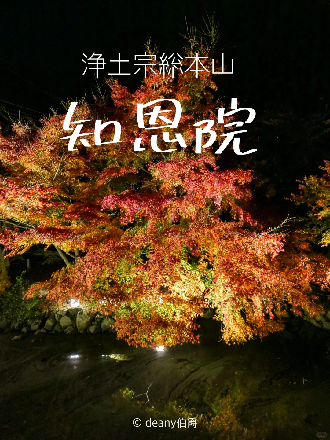 先出发再说 | 京都夜枫🍁知恩院