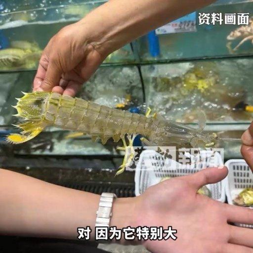 皮皮虾事件隔壁海鲜店发声手臂粗的虾确实价格比较贵，但这事可能还是前几年海南的口碑