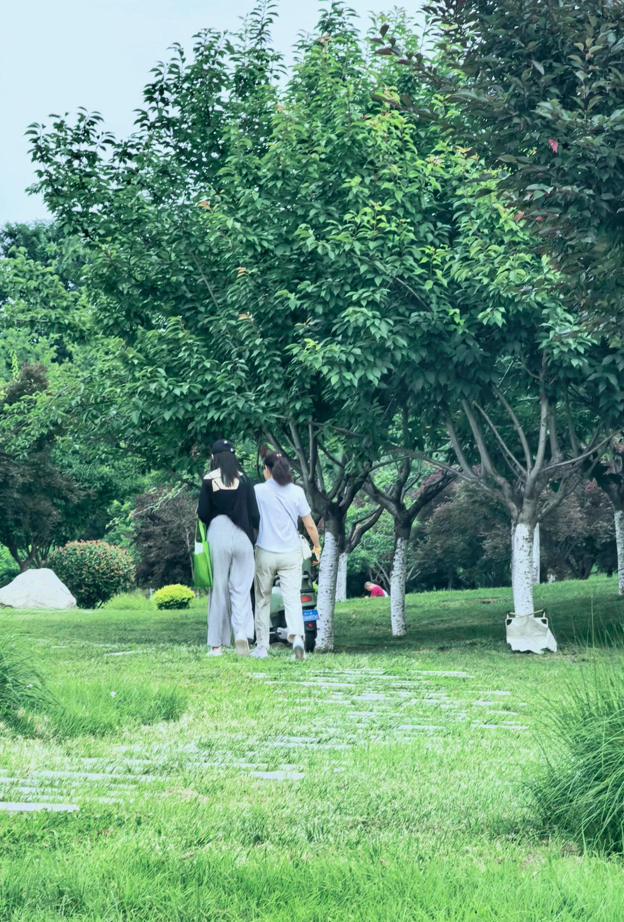 藏在城市中的绿野仙踪
谁说夏天只能躲在空调房里 ，小区附近“会呼吸的绿”，——阳
