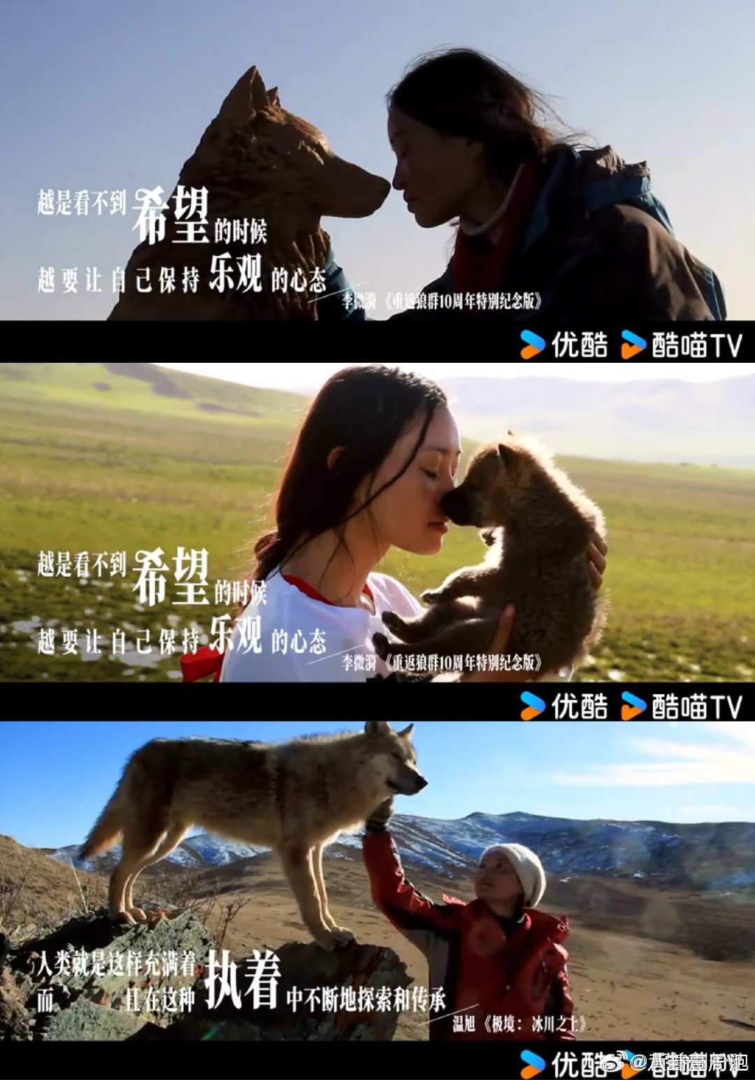 上海高考生的迷茫被陌生人治愈当少年看不清前路，人文内容与陌生人善意，共同构筑治愈